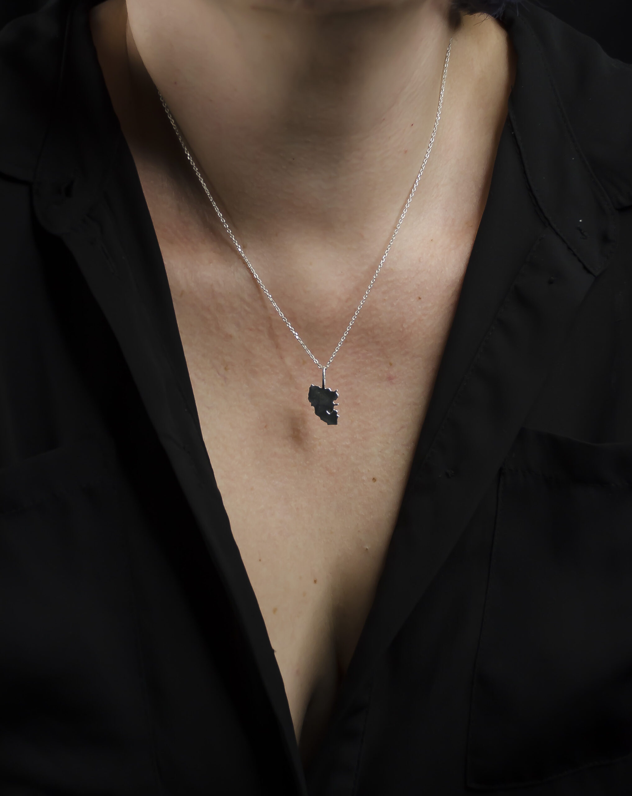 Кулон Луганська область оновлений - Зображення 8